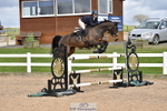 Cls 5 Foxhunter and 1.20m Open portfolio