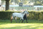 SBM_57923