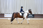 SBM_006749