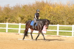 SBM_001733