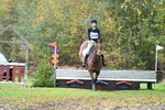 90cm HT Cam 1 fence 2 & 15 Cam 2 Water portfolio