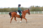 SBM_002345