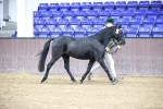 SBM_5420