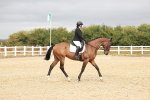 SBM_001849