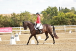 SBM_008686