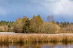Woorgreens Lake