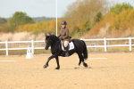 SBM_010463