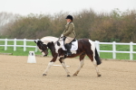 SBM_000146