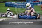 Karting_Winter 2013_Race-1-110