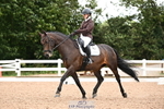 Cls 9 Freestyle Adv Medium BRONZE portfolio