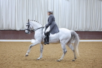 Class 8-2-6 - Magistrate-Paso Doble-Seville portfolio