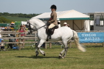 SBM_07700