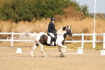 SBM_016745