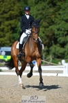 256-ALS_RUSSIAN_ROLEX-Jemima_Howden-WEDTrotUp+DR portfolio