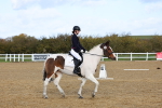 SBM_000953