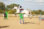 SBM_007842