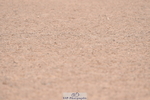 230720A-094846-01474