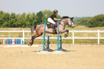 SBM_000245