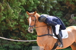 Section D CCI 4 Star Inc Nations Cup, Rider 451 to 474 portfolio