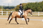 SBM_000484