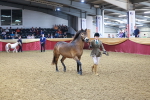 SBM_14720