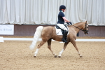 SBM_002929