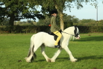 SBM_59841