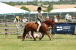SBM_06815
