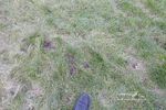 PtP 290123 0904