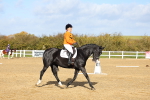 SBM_001117