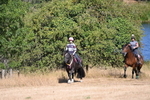 WJ6_7889