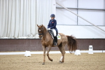 SBM_001064