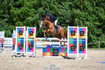 Cls 101 Foxhunter portfolio