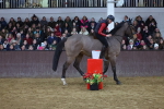 SBM_003397