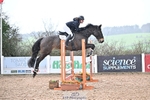 Cls 10+11 85cm and 95cm Amateur Quali portfolio