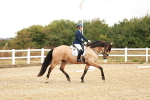 SBM_001732