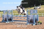 BPP_2628