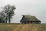 Lyon County Barn 2