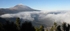 Tenerife mountain trees and cloud