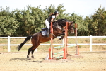 SBM_000290