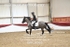 BPP_8365
