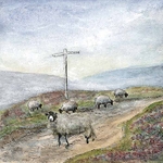 North York Moors