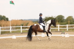 SBM_005564