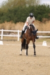 SBM_009685