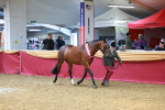 SBM_04429