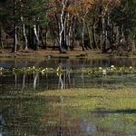 Landscape-052