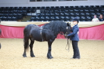 SBM_16819