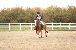SBM_001955