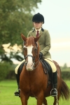 S60 - Mountain & Moorland Ridden Large Breeds portfolio