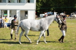 SBM_18894